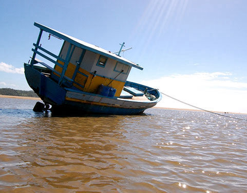 passeio praia de maragogi